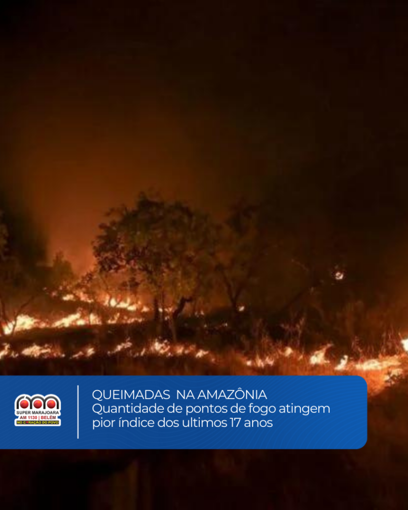 Queimadas na Amazônia Alcançam o Pior Índice nos Últimos 17 Anos