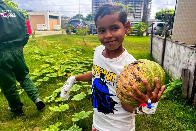 Com colheita de hortaliças, Hospital Metropolitano reforça importância de alimentação saudável para crianças